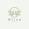 Olive Oil Logo Premium Design Fresh Plant Garden Simple Minimalist Templet Symbol Illustration