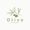 Olive Oil Logo Premium Design Fresh Plant Garden Simple Minimalist Templet Symbol Illustration