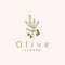 Olive Oil Logo Premium Design Fresh Plant Garden Simple Minimalist Templet Symbol Illustration