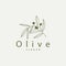 Olive Oil Logo Premium Design Fresh Plant Garden Simple Minimalist Templet Symbol Illustration