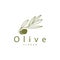 Olive Oil Logo Premium Design Fresh Plant Garden Simple Minimalist Templet Symbol Illustration