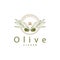 Olive Oil Logo Premium Design Fresh Plant Garden Simple Minimalist Templet Symbol Illustration