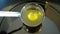 Olive oil organic quality bio, liquid obtained from olives, active, gold mixing and pouring in a steel barrel, for cold