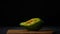 Olive oil spreading on green avocado in slow motion at black background. Close-up organic liquid flowing on healthful