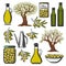 Olive oil and vegetables product icons