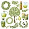 Olive Organic Elements Set