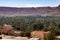 Olive plantation in valley before Atlas mountains Morocco at foot of small town