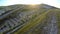 Olive plantations in Cyprus rural area, active traffic on highway, sunset