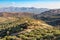 Olive plantations in the mountains, Crete, Greece