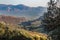 Olive plantations in the mountains, Crete, Greece