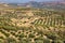 Olive plantations in the mountains, Crete, Greece