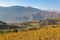 Olive plantations in the mountains, Crete, Greece