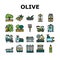 Olive Production And Harvesting Icons Set Vector