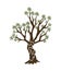 Olive tree with branches and green leaves banner. Hand drawn ancient greek label, natural vegetarian shop sign. Premium