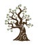 Olive tree with branches and green leaves banner. Hand drawn ancient greek label, natural vegetarian shop sign. Premium