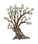 Olive tree with branches and green leaves banner. Hand drawn ancient greek label, natural vegetarian shop sign. Premium