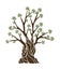 Olive tree with branches and green leaves banner. Hand drawn ancient greek label, natural vegetarian shop sign. Premium