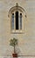 Olive Tree and Church Window