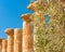 Olive tree with columns in the background in the Valley of the Temples of Agrigento