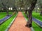 Olive tree garden, Bahai Temple, Haifa, Israel