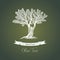 Olive tree logo with branches