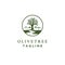 Olive tree logo designs with creeks or rivers symbol