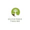 Olive tree logo designs with rivers