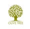 Olive tree, natural product symbol or icon