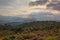 Olive tree orchards in Sierra Nevada mountains with dark threatening clouds