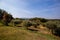 Olive tree private plantation orchard summer mediterranean climate