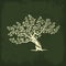 Olive tree silhouette icon isolate