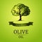 Olive tree. Vector green tree.yellow green leaves