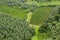 Olive Tree and Vine Plantation - Aerial View