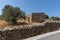 Olive tree in a walled garden. Crete, Greece