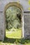 Olive Trees Through The Archway