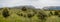 Olive trees field near Canyelles reservoir with Montrebei gorge at background, Spain