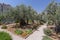 Olive trees in the Garden of Gethsemane outside the Old City`s eastern walls in Jerusalem, Israel