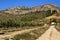 Olive trees plantation in Spain