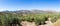 Olive trees reaching to horizon in Andalucia