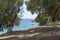 Olive trees with sea - Lichnos Beach - Ionian Sea - Parga, Preveza, Epirus, Greece