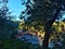 Olive trees, sea and splendid view in Portofino town, Genoa province, Liguria region, Italy. Hidden corner, beautiful landscape