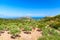 Olive trees. Zakynthos, Greek island