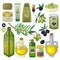 Olive vector oliveoil bottle with virgin oil and natural olivaceous ingredients for vegetarian food illustration set of
