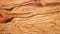 Olive wood tree texture. Template for your design