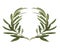 Olive wreath - the reward for the winners of the Olympic games in ancient Greece