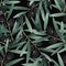 Olives branch, green herbal organic nature seamless pattern illustration