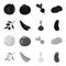 Olives on a branch, peas, onions, eggplant. Vegetables set collection icons in black,monochrome style vector symbol