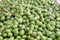 Olives fruit vitamine freshness agriculture