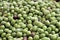 Olives fruit vitamine freshness agriculture