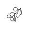 Olives line outline icon fruit concept